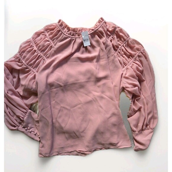 Ann Taylor Tops - NWT Ann Taylor Women’s Juliet Pleated Sheer Balloon Sleeve Spring Pink Top XL